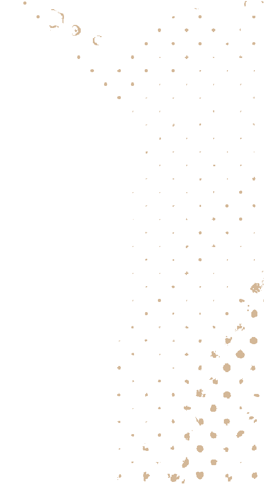 https://www.demo.canicross.com.tr/wp-content/uploads/2021/04/floating_image_02.png