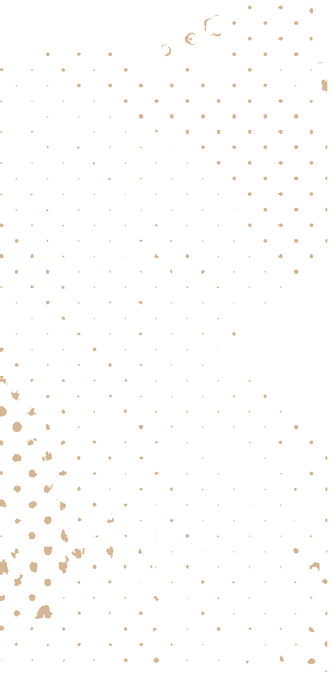 https://www.demo.canicross.com.tr/wp-content/uploads/2021/04/floating_image_03.png