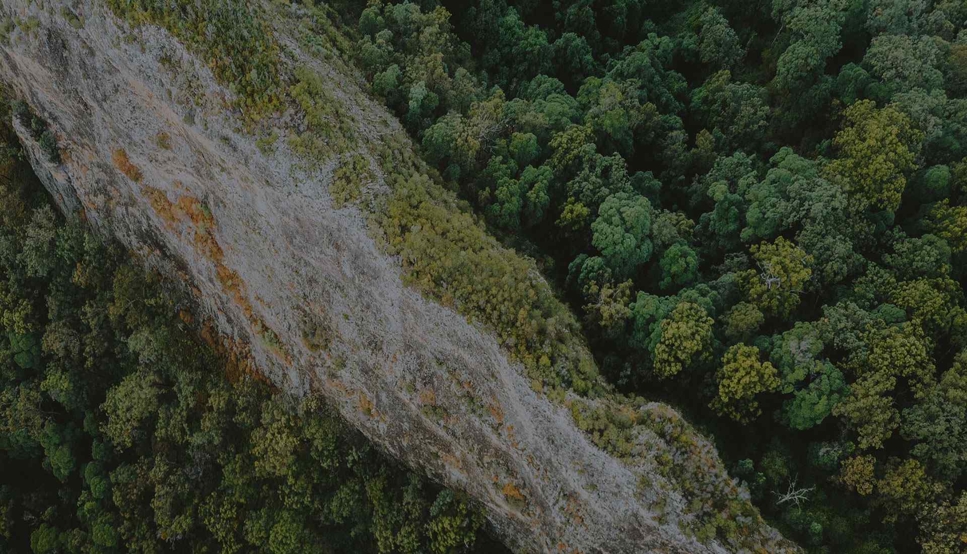https://www.demo.canicross.com.tr/wp-content/uploads/2021/05/background_about.jpg